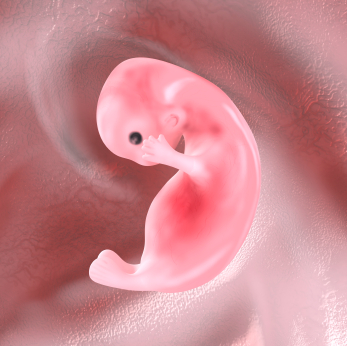 Pregnant women and chemicals