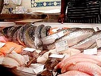 Pregnant women eat a lot of fatty fish prone to premature birth