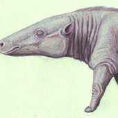 Prehistoric animals called Mick Jagger