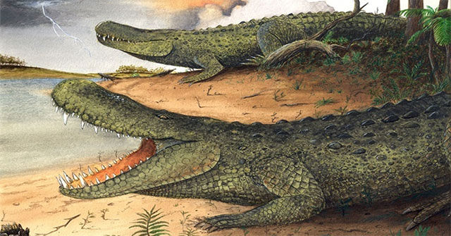 Prehistoric crocodile weighs 3 tons and is as long as a bus