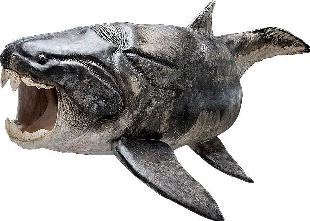 Prehistoric fish have teeth like humans