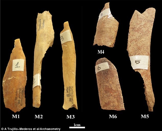 Prehistoric people knew how to use spices and chili to eat with ... human flesh