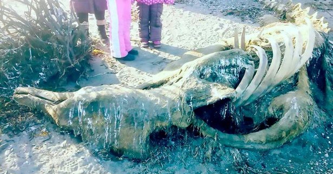 'Prehistoric sea monsters' rotted down on the Russian coast