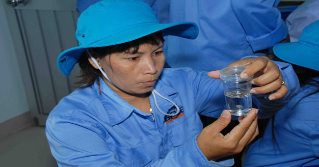 Prepare to release mosquitoes to prevent dengue