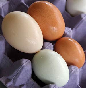 Preserve duck eggs with artificial wrap