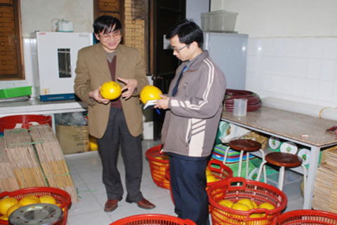 Preserving fresh fruits and vegetables like picking