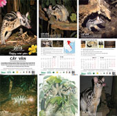 Preserving rare civet civet in Vietnam