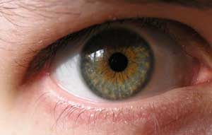 Prevent cataracts