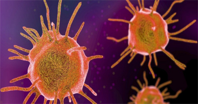 Prevent gene exchange bacteria: A smart solution for drug resistance