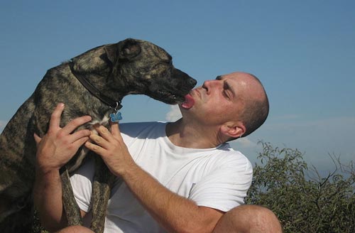 Prevent pets from spreading infectious diseases to their owners