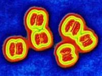 Preventing meningitis caused by meningococcus