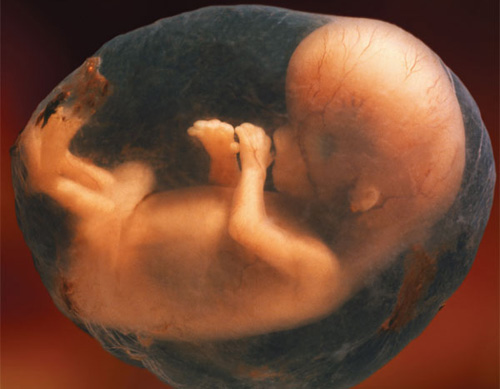 Prevention of disease from the fetal stage