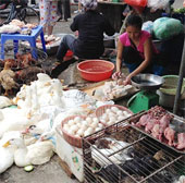 Prevention of toxic bird flu H5N6