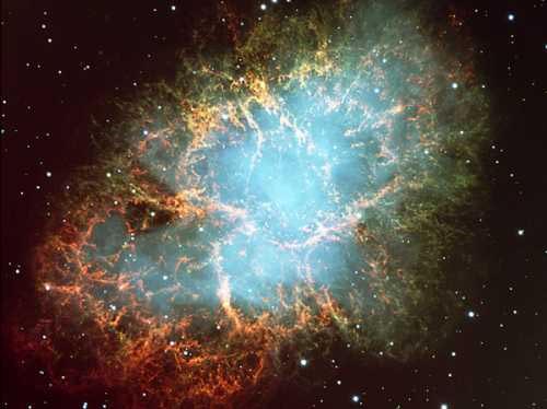Primary school girls discover explosions of superstars