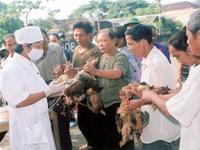 Prime Minister directed: Emergency action against bird flu
