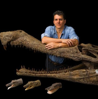 Primitive crocodiles used to run on land like horses