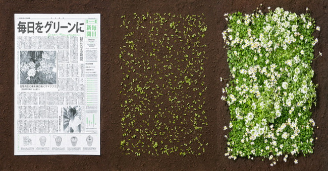 Printed newspapers turn into flower beds in Japan