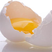 Produce eggs rich in Omega-3 eggs