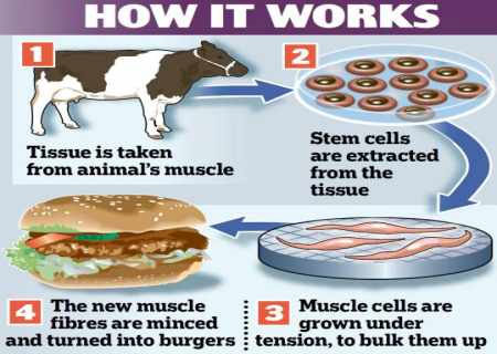 Produce meat without slaughtering cattle