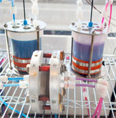 Produce rechargeable batteries of plant origin