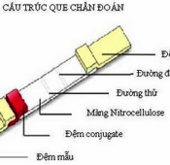 Produces quick diagnostic rods for parasitic diseases