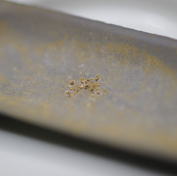 Producing 24-karat gold with bacteria