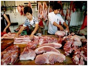 Producing artificial meat from ... stem cells