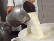 Producing biofuel from whey