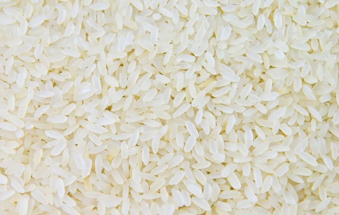 Producing blood proteins from transgenic rice
