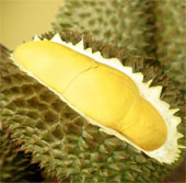 Producing durian wine in Singapore