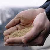 Producing electricity from beer residues