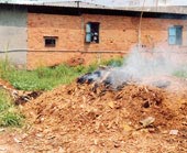 Producing electricity from ... husks, sawdust