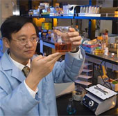 Producing starch from cellulose