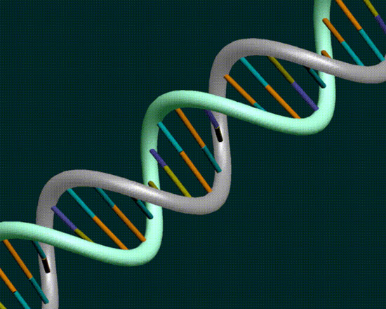 Production of complex microprocessors from biological logic gates