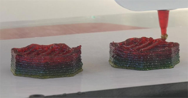 Production of functional food according to the application thanks to 3D Printing technology