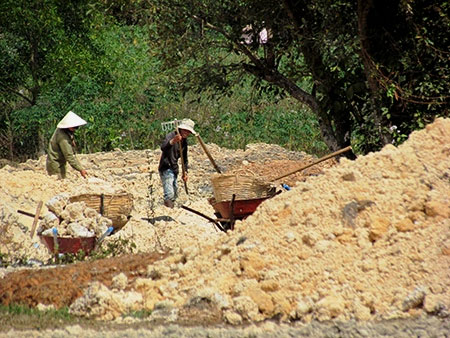 Production of microbial fertilizer from cassava residue