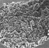 Production of 'utopian' materials capable of absorbing superior water