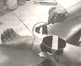 Profession for blood sucking insects