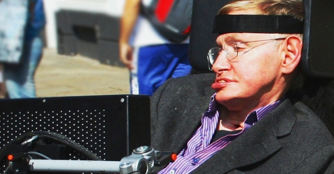 Professor Stephen Hawking's brain