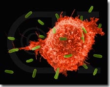Progress in cancer cell detection techniques