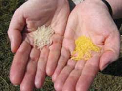 Promoting research on varieties of