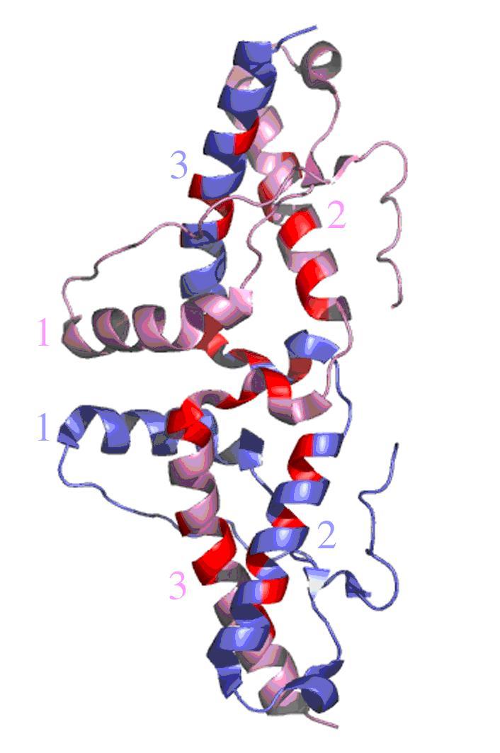 Prospective drug treatment caused by the wrong twisting process of protein