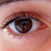 Prospects for electronic retina transplant for the blind