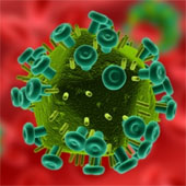 Prospects gel to help women fight HIV