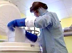 Prospects to treat some diseases with stem cells
