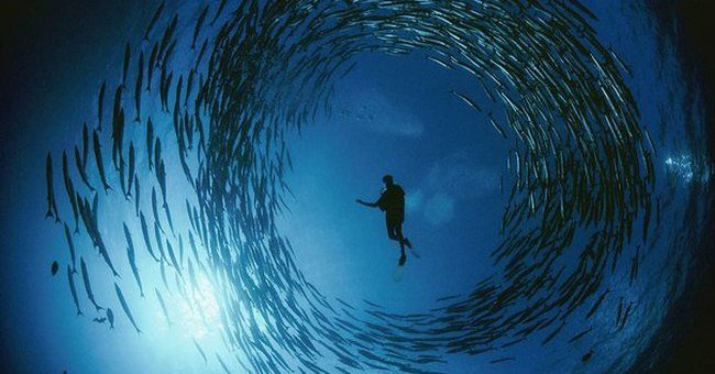 Protect the ocean to protect the atmosphere