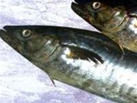Protect your health with omega-3 fatty acids
