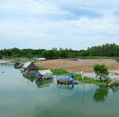 Protecting rare and precious fish species in flipping Binh Thien