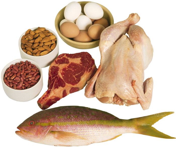 Protein has the ability to burn body fat