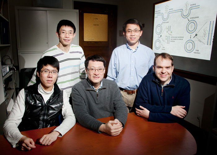 Protein spiral and the transfer of DNA fragments to cells